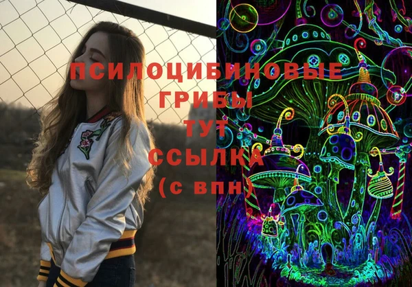 бутират Алексин