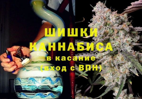 прущие грибы Алзамай