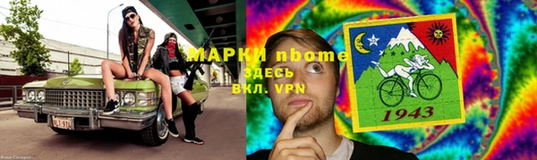 прущие грибы Алзамай