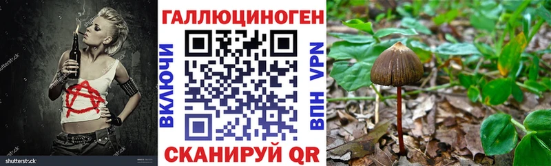 Псилоцибиновые грибы прущие грибы  Усть-Лабинск 